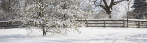 Snow Fence Panorama, Farmington Hills, Michigan 09 - Color Pan