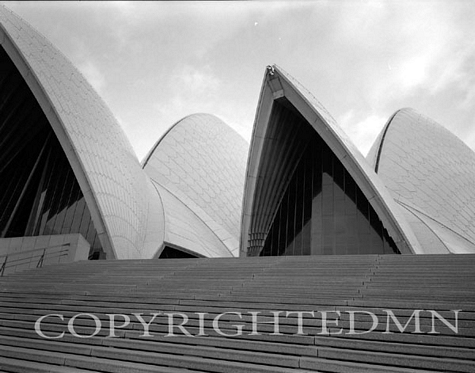 Opera House #2, Sydney, Australia 01