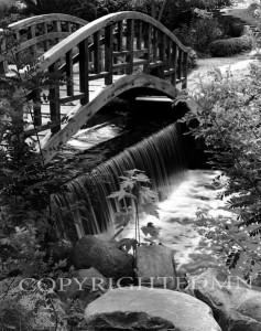 Oriental Bridge, Bloomfield Hills, Michigan 02