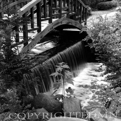 Oriental Bridge, Bloomfield Hills, Michigan 02