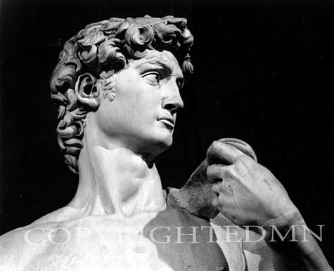 Profile Of David, Florence, Italy