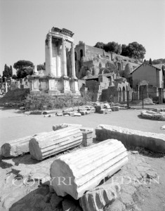 Ruins At The Forum, Italy 01