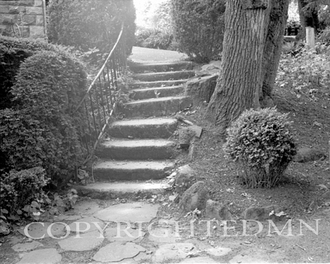 Stairs In The Yard, Salem, Oregon 02