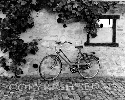 The Bicycle, Turckhein, France 99