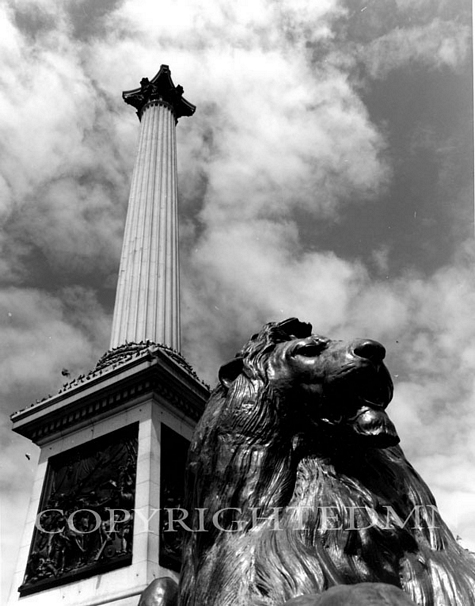 Trafalger Square, London, England 96