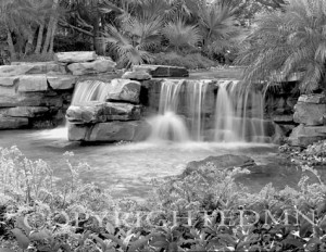 Tropical Falls #4, Florida 98
