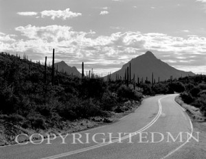 Arizona Highway, Arizona 90