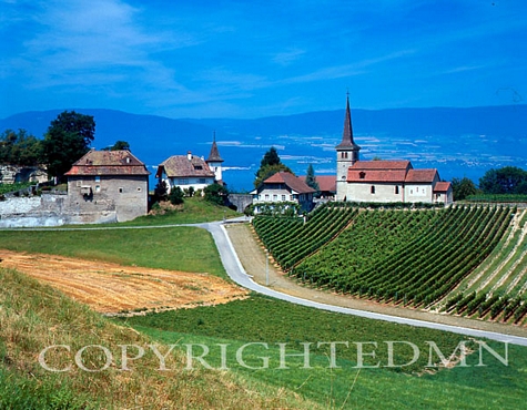 Country View, Avenches, Switzerland – Color