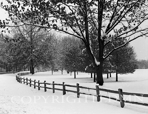 Fence In Winter, Michigan 99