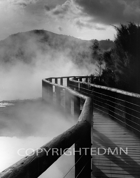 Boardwalk In The Mist, Rotorua, New Zealand 98