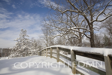 Fence in the Snow, Farmington Hills, Michigan 09 – Color
