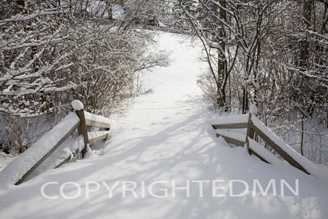 Path In the Snow, Farmington Hills, Michigan 09 – Color