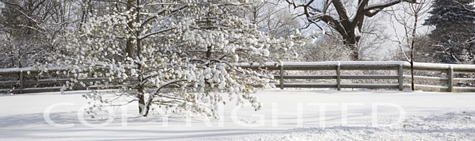 Snow Fence Panorama, Farmington Hills, Michigan 09 – Color Pan