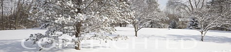 Snow Field Panorama, Farmington Hills, Michigan 09 – Color Pan