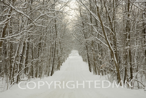 Snow Road, Farmington Hills, Michigan 09 – Color