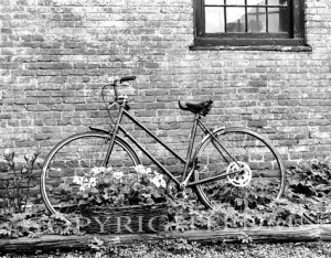 Bicycle & Basket, Newport, Rhode Island 03
