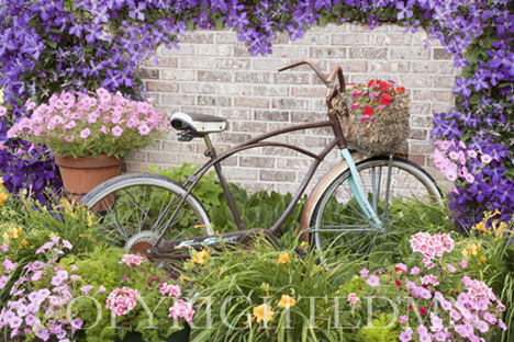 Bicycle & Flowers, Michigan 09 – color