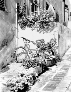 Bicycle In Centaldo, Italy 01