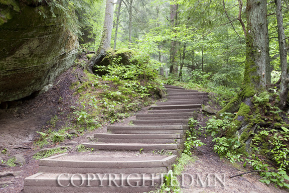 Steps Into the Woods #1, Hocking Hills, Ohio 10-color
