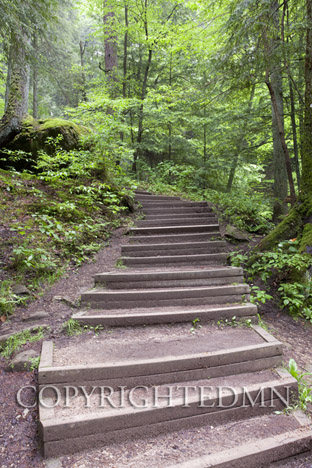 Steps Into the Woods #2, Hocking Hills, Ohio 10-color
