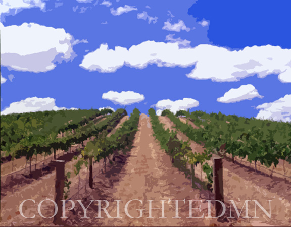 Australian Vineyards, Australia 01 – painterly
