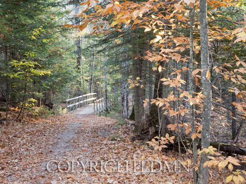Bridge in Autumn, Sundell, Michigan 10-color.jpg