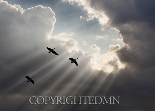 Flying on Sunbeams, Macinaw Island, Michigan 10-color.jpg