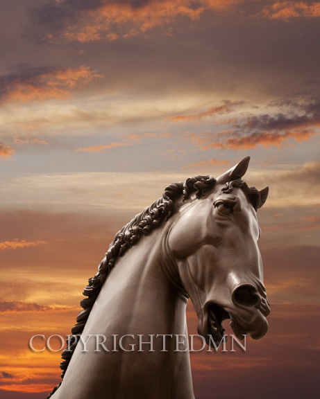 American Horse at Sunset, Grand Rapids, Michigan 11 – color