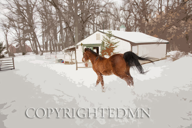 Horse & Barn, Milford, Michigan 10 – painterly