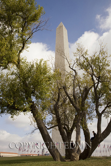 Washington Monument #1, Washington D.C. 08 – Color