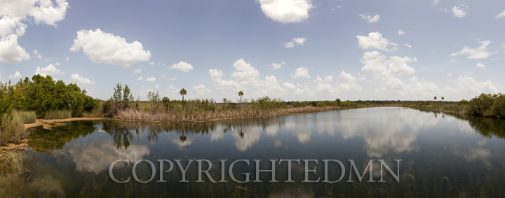 Everglades Panorama, Florida 11 – Color Pan