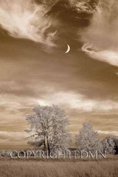 Moonrise & Trees, Grand Marais, MI 11 – IR