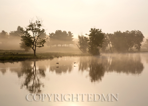 Morning at Jacobson Lake, Lexington, Kentucky 12 – Color