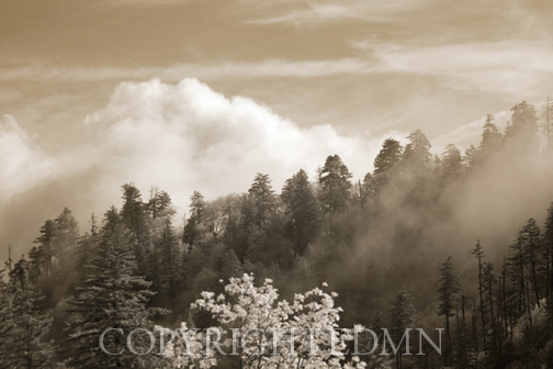 Smoky Mountian View #2, Great Smoky Mountians 12 – IR