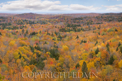 Autumn Palette, Marquette, Michigan 12-color