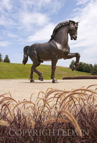 Da Vinci Horse, Grand Rapids, Michigan 12-color