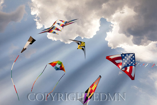 Flying Kites, Livonia, Michigan 12-color