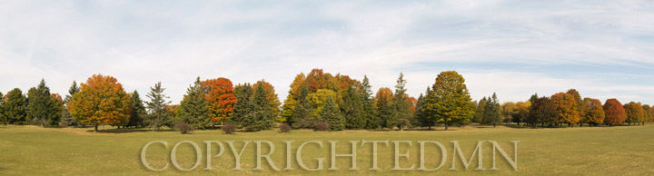 Tree Panorama, Door County, Wisconsin 12-color