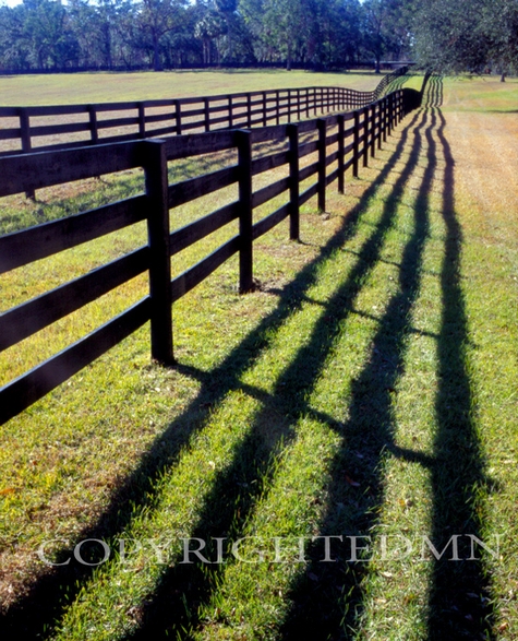 Fence & Shadows, Florida – Color