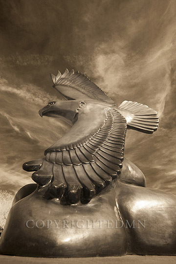 Eagle Sculpture, Phoenix, Arizona 14-IR