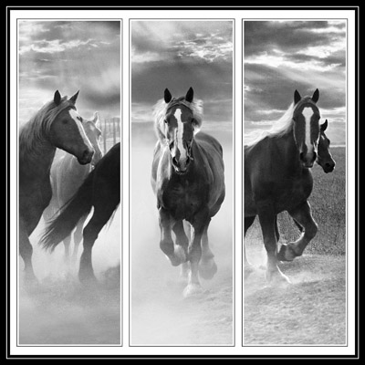 Triptych of Horses - Geometric