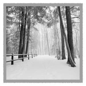 Winter's Path - Geometric