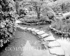 Butchart Gardens & Stone Path, Canada 99