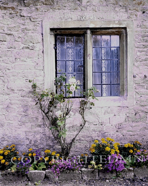 Lace Curtains, Bibury, England – Color