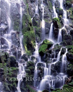 Ramona Falls Details, Zigzag, Oregon – Color