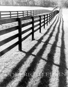 Fence & Shadows, Florida