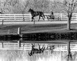 Horse & Buggy Reflection, Lancaster, Pennsylvania