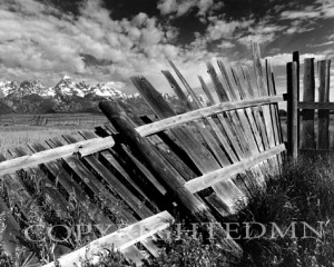 Leaning Fence, Wyoming 95