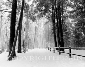 Winters Path, Michigan