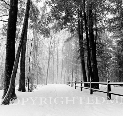 Winters Path, Michigan